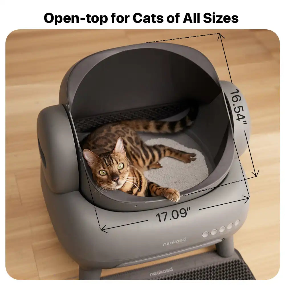 EasyClean Automatic Cat Litter